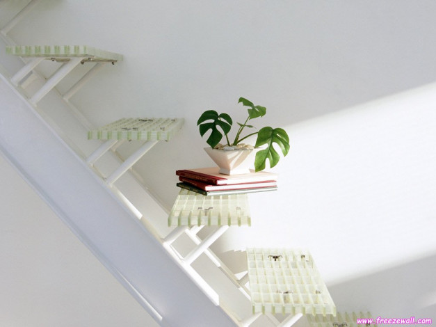 Обои картинки фото разное