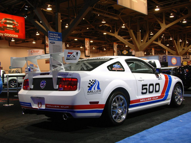 Обои картинки фото 2008, ford, mustang, fr500s, автомобили