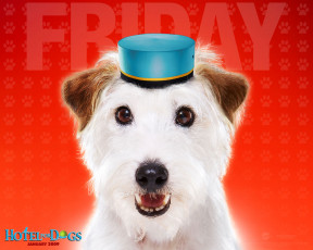 Картинка hotel for dogs кино фильмы