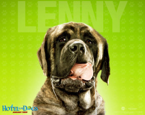 обоя hotel, for, dogs, кино, фильмы