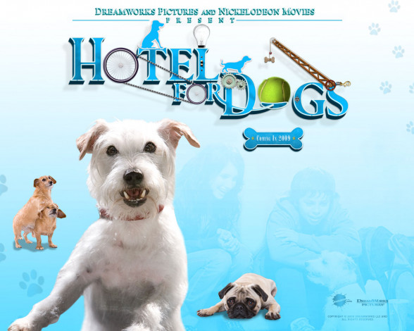 Обои картинки фото hotel, for, dogs, кино, фильмы