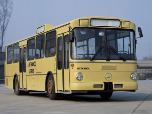 Картинка автомобили автобусы