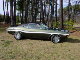 Картинка автомобили выставки уличные фото