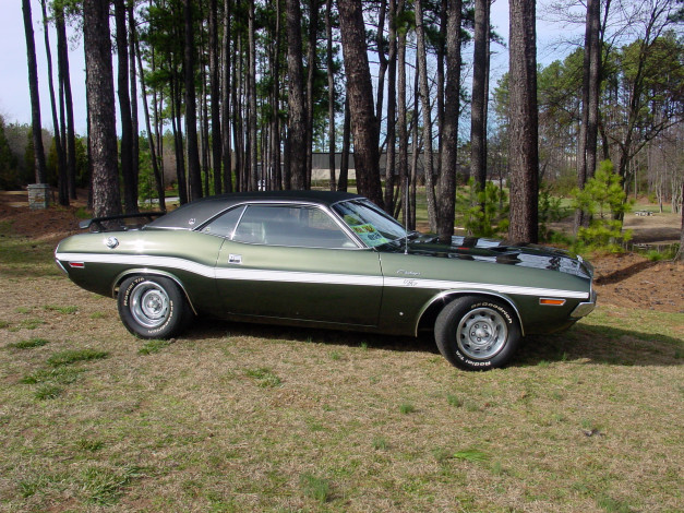 Обои картинки фото автомобили, выставки, уличные, фото