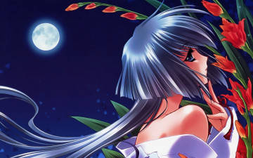 обоя аниме, touka, gettan