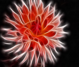 Картинка 3д графика flowers цветы цветок лепестки фон