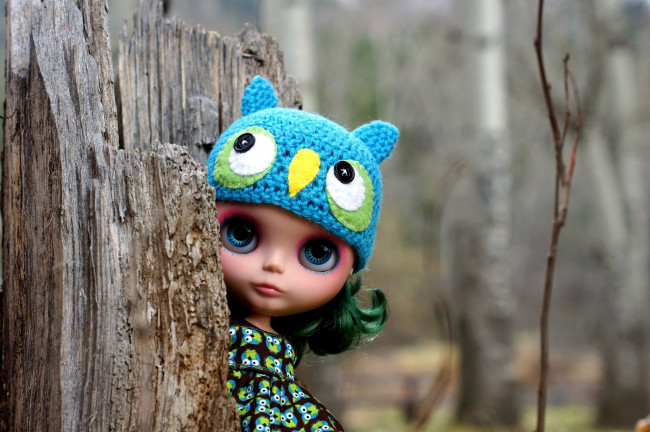 Обои картинки фото разное, игрушки, кукла, шапочка, сова