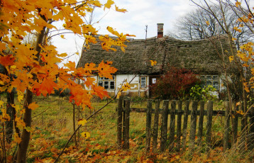 Картинка польша косаково города здания дома осень деревья сад дом