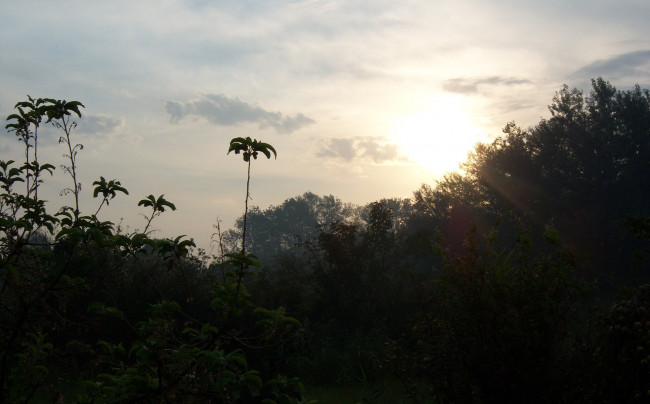 Обои картинки фото природа, восходы, закаты