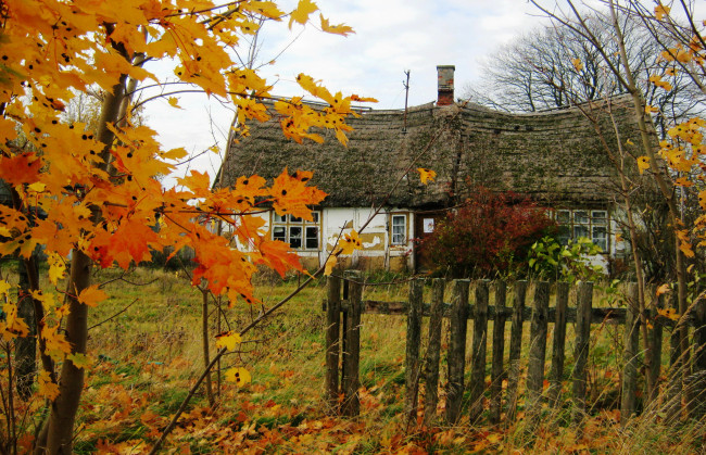 Обои картинки фото польша, косаково, города, здания, дома, осень, деревья, сад, дом