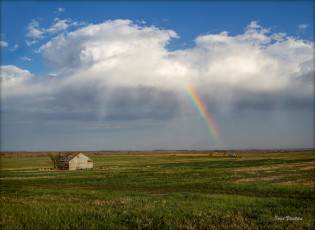 Картинка природа радуга