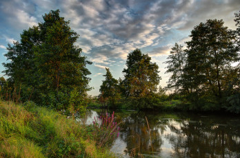 Картинка природа реки озера облака лес река