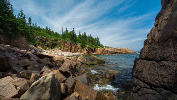 Картинка природа побережье лес скалы океан
