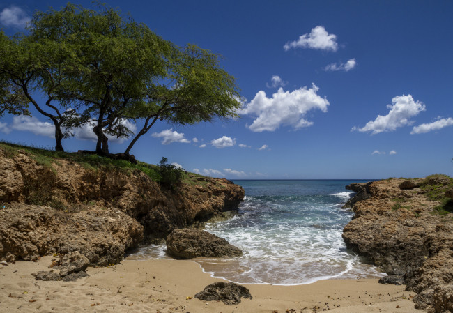 Обои картинки фото природа, побережье, растения, залив, облака, небо