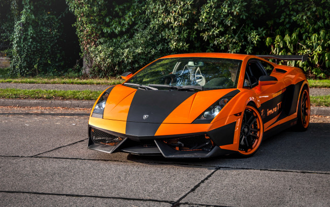 Обои картинки фото автомобили, lamborghini