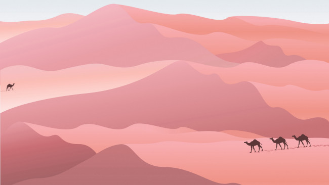 Обои картинки фото векторная графика, природа , nature, верблюды, пустыня