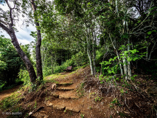 Картинка природа дороги простор