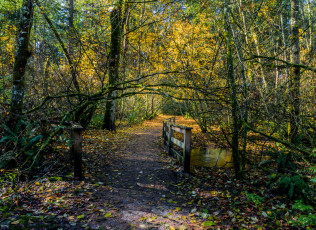 Картинка природа дороги простор