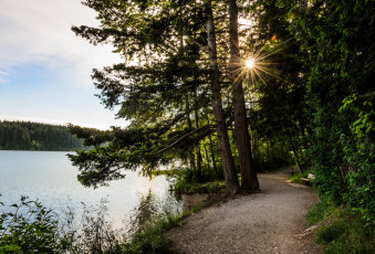 Картинка природа реки озера простор