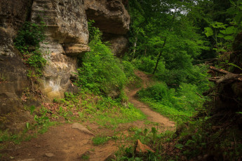 Картинка природа дороги простор