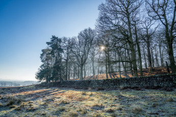 Картинка природа пейзажи простор