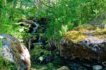 Картинка природа реки озера простор