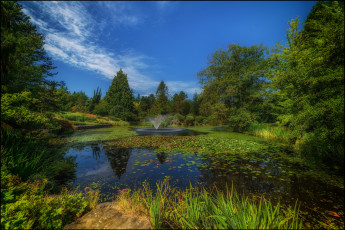 Картинка природа реки озера простор