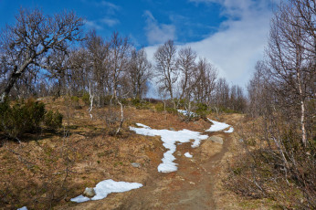 Картинка природа дороги простор