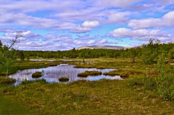 Картинка природа пейзажи простор