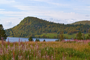 Картинка природа пейзажи простор