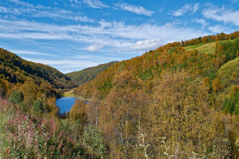 Картинка природа пейзажи простор