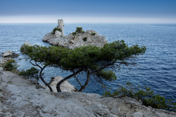 Картинка природа побережье простор