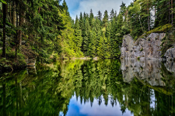 Картинка природа реки озера лес река