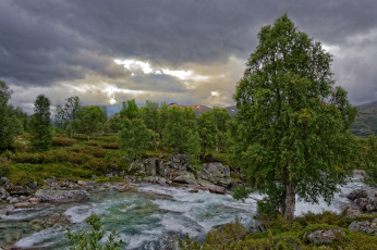 Картинка природа реки озера простор