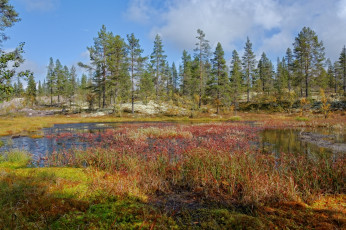 Картинка природа реки озера простор