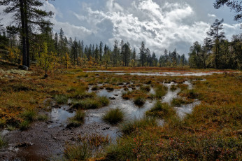 Картинка природа реки озера простор