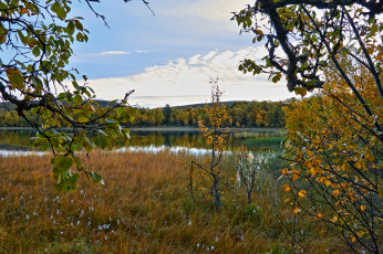 Картинка природа реки озера простор