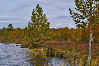 Картинка природа реки озера простор