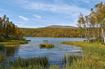 Картинка природа реки озера простор