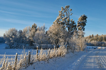 Картинка природа зима простор