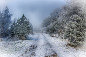 Картинка природа зима простор