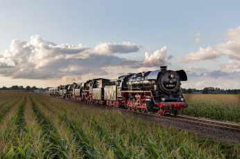 Картинка техника паровозы локомотив состав