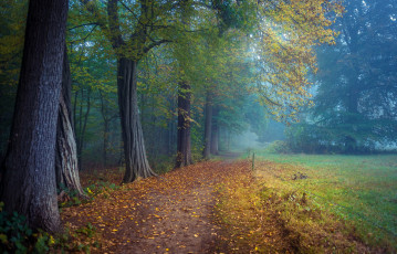 Картинка природа дороги простор