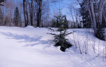 Картинка природа зима сугробы снег