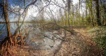 Картинка природа реки озера простор