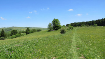 Картинка природа пейзажи холмы