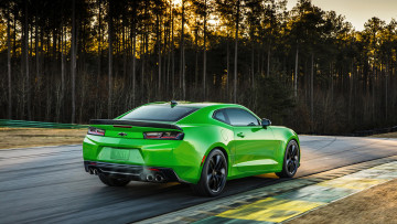 обоя chevrolet camaro 1le green 2017, автомобили, camaro, 2017, green, 1le, chevrolet