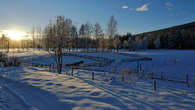 Обои картинки фото природа, зима, простор