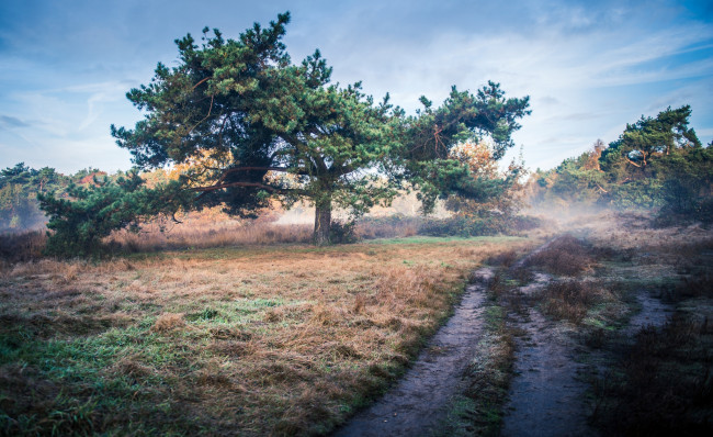 Обои картинки фото природа, дороги, простор