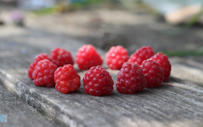 Обои картинки фото еда, малина, ягоды